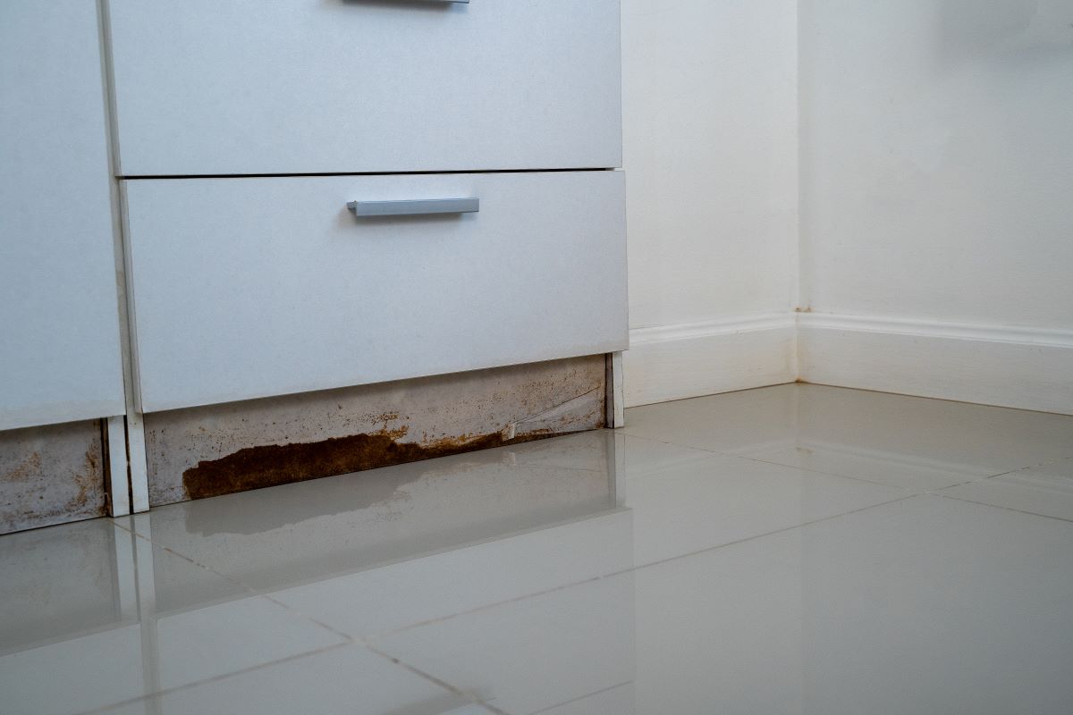 How to Fix Faded Kitchen Cabinets: Tips & Tricks 5 Why do kitchen cabinets lose their color and shine?